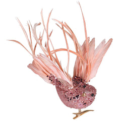 Rose Pink Feathers Bird