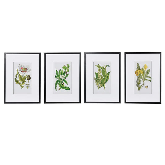Dwell Future Eden Floral Pictures Set Of 4 - Green