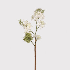 Dwell Lilac Spray - White